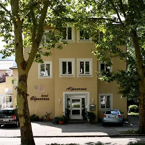 Alpenrose *** Bad Reichenhall